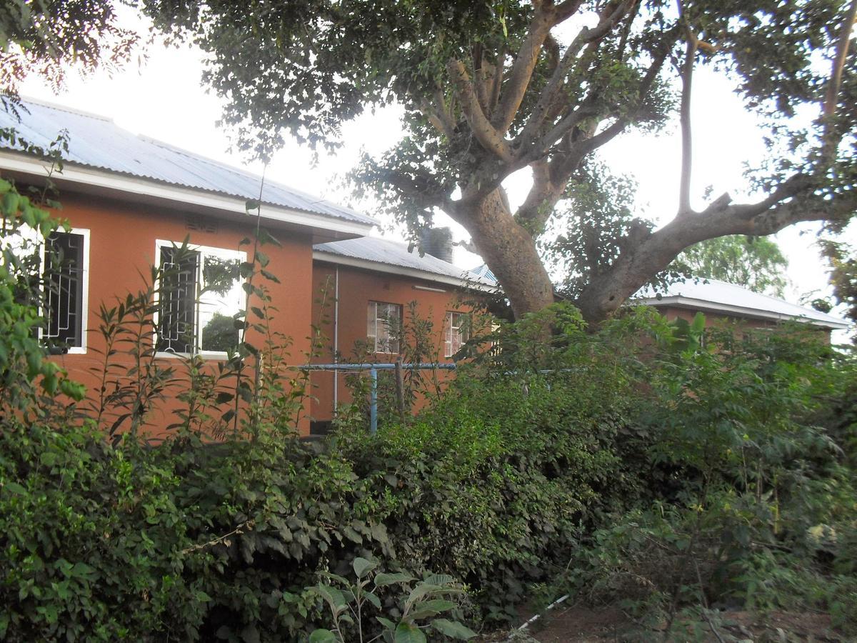 Longido Mountain Lodge Extérieur photo